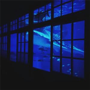 美女被操爆网站
